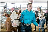 LCFAIR17-2728.jpg