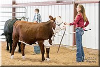 LCFAIR17-2735.jpg