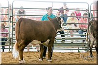 LCFAIR17-2741.jpg