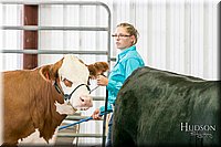 LCFAIR17-2745.jpg