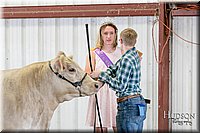 LCFAIR17-2763.jpg