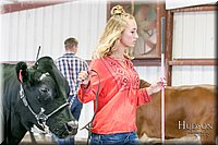 LCFAIR17-2782.jpg