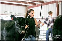 LCFAIR17-2783.jpg