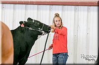 LCFAIR17-2792.jpg