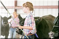 LCFAIR17-2815.jpg