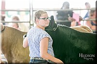 LCFAIR17-2864.jpg