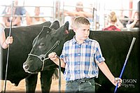 LCFAIR17-2871.jpg