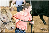 LCFAIR17-2878.jpg