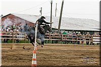 LCFAIR17-3028.jpg