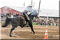 LCFAIR17-3325.jpg