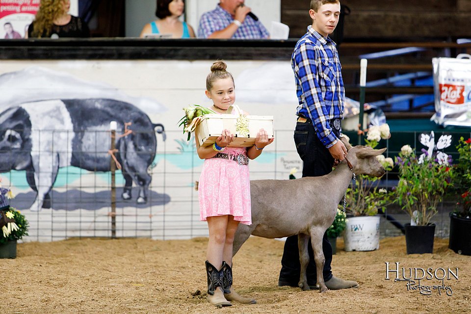 LCFAIR17-3458.jpg