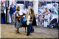 LCFAIR17-3411.jpg