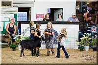 LCFAIR17-3414.jpg