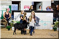 LCFAIR17-3415.jpg