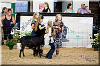 LCFAIR17-3416.jpg