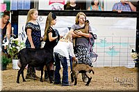 LCFAIR17-3417.jpg