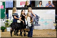 LCFAIR17-3418.jpg