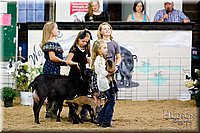 LCFAIR17-3419.jpg