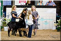 LCFAIR17-3420.jpg