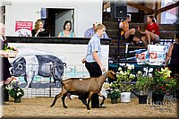 LCFAIR17-3421.jpg