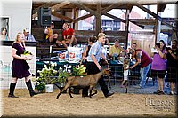 LCFAIR17-3422.jpg