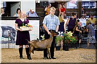 LCFAIR17-3428.jpg