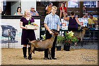 LCFAIR17-3430.jpg