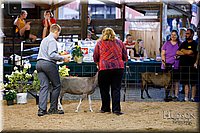 LCFAIR17-3432.jpg