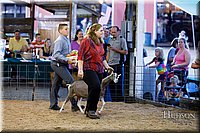 LCFAIR17-3433.jpg