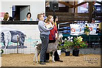 LCFAIR17-3436.jpg