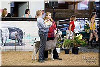 LCFAIR17-3438.jpg