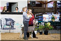 LCFAIR17-3439.jpg