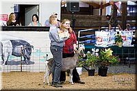 LCFAIR17-3440.jpg