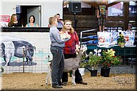 LCFAIR17-3441.jpg