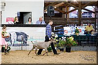 LCFAIR17-3443.jpg