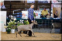 LCFAIR17-3444.jpg