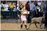 LCFAIR17-3446.jpg