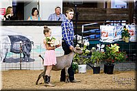 LCFAIR17-3449.jpg