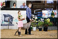 LCFAIR17-3450.jpg