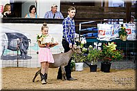 LCFAIR17-3451.jpg