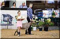 LCFAIR17-3452.jpg