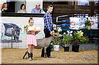 LCFAIR17-3453.jpg