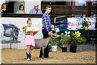 LCFAIR17-3454.jpg