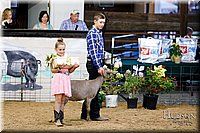 LCFAIR17-3455.jpg