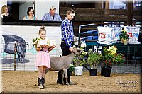 LCFAIR17-3456.jpg