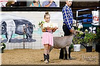 LCFAIR17-3457.jpg