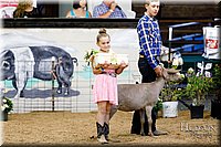 LCFAIR17-3458.jpg