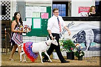 LCFAIR17-3464.jpg