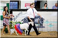 LCFAIR17-3465.jpg