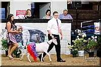 LCFAIR17-3466.jpg